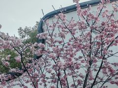 -乌山风景区