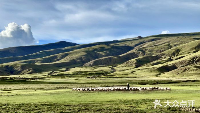 羊卓雍措图片