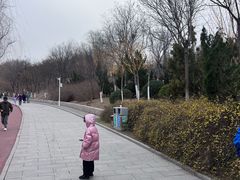 -南翠屏公园