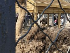 -长白岛森林公园