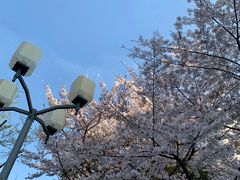 -同济大学四平路校区游泳馆