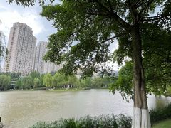-沐仙湖湿地公园