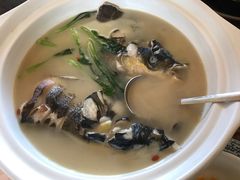 -李东农庄(中南百草园地标店)