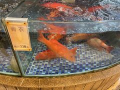 -太子园林酒家