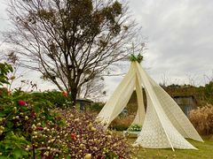 -福建鲤鱼洲酒店