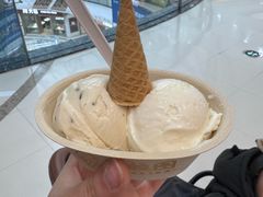 -极拉图·现制冰淇淋(大卫城店)