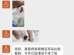 -创凡宠物医院·骨专科  猫科中心(西乡分院)
