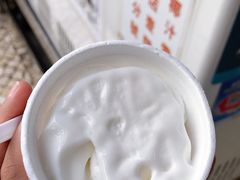 椰子雪糕-洪馨椰子
