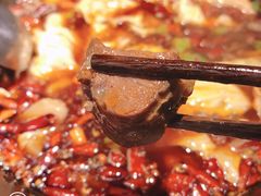 -受气牛肉·重庆耙牛肉(来福士店)