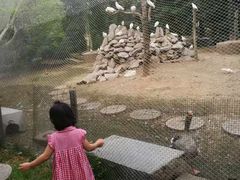 -观唐（国际）度假村温泉