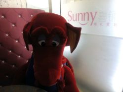 -Sunny喜铺婚礼策划(东部店)