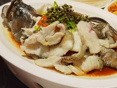 青花椒蒸龙胆鱼-闽和南(深圳万象城店)