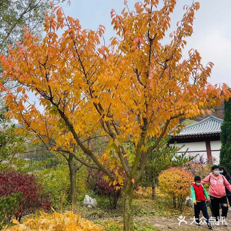秋水共长天一色
