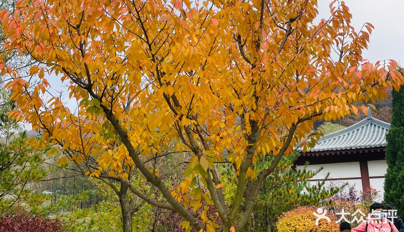 秋水共长天一色