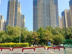 -长白岛森林公园