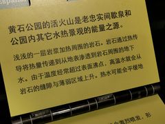 -老忠实间歇泉