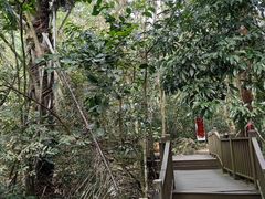 -七仙岭温泉国家森林公园