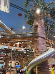 -卡通尼·Safari非洲探索乐园·生日会(金桥国际商业广场店)