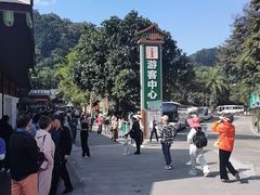 -野象谷景区