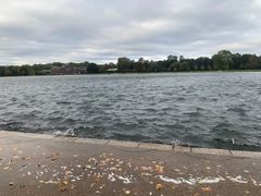 -海德公园