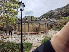 -杭州半山国家森林公园