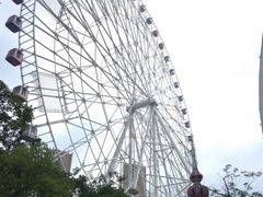-弘阳·未来世界(弘阳广场店)