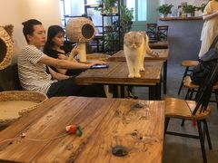 大堂-共舞时光猫咖·狗咖(新街口店)