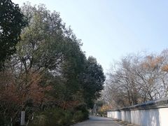 -南京市江宁方山