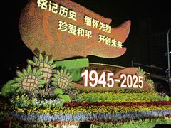 -麦当劳(新王府井店)