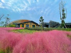 -中国天府农业博览园