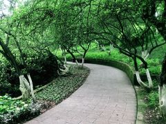 -南山植物园