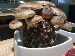 有机松香菇-鲜货俚鲜火锅(青果路店)