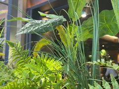 -同仁四季椰子鸡(宝安壹方城店)