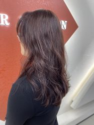 -FINE HAIR 烫染专业设计