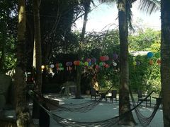 -海口观澜湖火山温泉谷