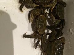 金茂凯悦酒店-上海崇明金茂凯悦酒店