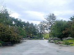-北京世界公园