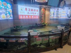 -楚鱼王·河鲜·湖北菜(华农店)