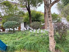 -扬州瘦西湖温泉