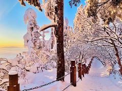 -瓦屋山景区