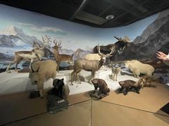 -陕西自然博物馆