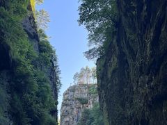 -茅兰沟国家森林公园