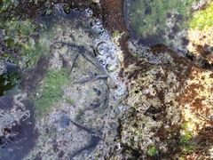 -白沙湾海滩