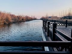 -盐城丹顶鹤湿地生态旅游区