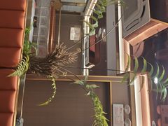 -顺徕德·仙庙烧鸡(桂庙路店)