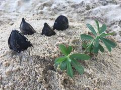 -亚洲大陆最南端