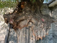 -元大都城垣遗址公园