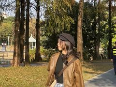 -四海公园(南山区)