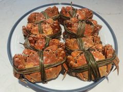 -杨氏青龙虾·羊蝎子(托乐嘉店)