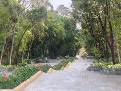 -深圳国际园林花卉博览园